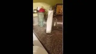 Paper towel alternative