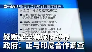 传印尼集团贩婴到狮城供领养 政府：正与印尼政府合作调查