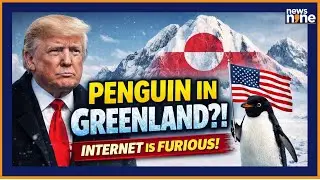 Trump&rsquo;s Penguin Meme On Greenland Sparks Global Trolls | White House AI Post Explained