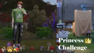Princess Challenge: Tinkerbell 3.4