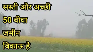 50 बीघा जमीन बिकाऊ है।| UP Sambhal | Real Estate/Property