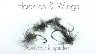 Fly Tying Peacock Spider | Hackles & Wings
