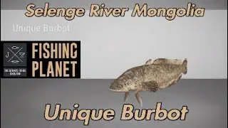 Fishing Planet - Уникальный налим - Река Селенга, Монголия