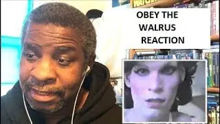 Obey The Walrus Video  Reaction
