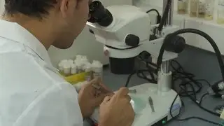Caf&eacute; con ciencia, Programa 11 - CIC
