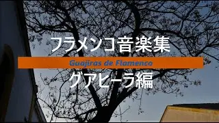 【BGM】爽やかなフラメンコ音楽集　グアヒーラ編　★ギター＆カンテ　★スペイン民族音楽　　★自習・作業用   Spanish Flamenco Music ( Guajiras )