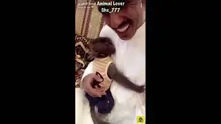 اسامه الدغيري عدنان وايفا ولولي وزيتونه وعبسي والمشاكس