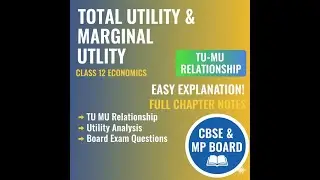 Total Utility & Marginal Utility Graph Explained | Class 12 & 11 Economics TU & MU Relationship