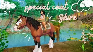 this horse is so underrated | rare special coat shire from the Star Stable app