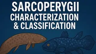 Sarcopterygii - characterisation & classification #msczoology #fishbiology #msczoologynotes 