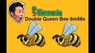 Queen Bee X2 - DoubleBee Speedrun -  6m 56s