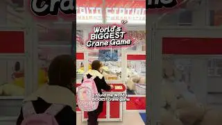 LET'S TRY: World's BIGGEST Crane Game! 🤩🎉🧸️
