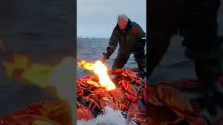 Man helps the whale #AnimalRescue​#AIVideo​ #SaveAnimals​#KindnessToAnimals​ ​#RescueStory​
