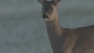 First day of winter