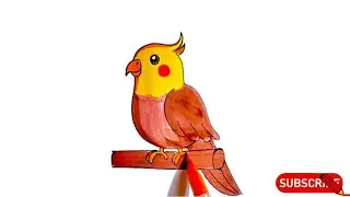 How To Draw Cockatiel Bird Drawing | Easy Step By Step For Beginners