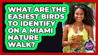 What Are The Easiest Birds To Identify On A Miami Nature Walk? - Everything About Miami