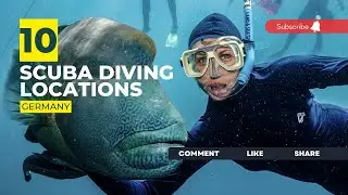 [2023] Germany Dive Sites That Will Blow Your Mind: Our Top 10 Scuba Diving Locations