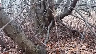 Krótki film terenowy oraz zimowa aktualizacja