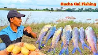 4 Hook Gucha Gal Fishing Tips | Fishing Videos | Unbelievable Fishes Catching | Rohu Fishing Video