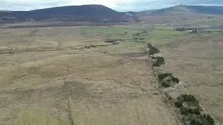 Thieves Road