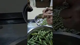 chopper eating peas #doglover #dogshorts #viral #dog #happydog #germanshepherd #peas #dogfood #cute