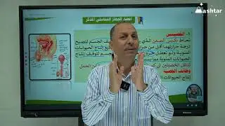 الجهاز التناسلي المذكرفي الانسان