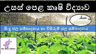 agri science | බිංදු ජල සම්පාදනය හා විසිරුම් ජල සම්පාදනය | drip irrigation & sprinkler irrigation |