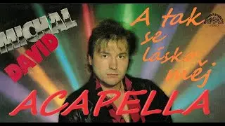 Michal David - A tak se l&aacute;sko měj (ACAPELLA by BaX)