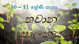 o/l Agriculture Sinhala | unit 6 |6 පාඩම | grade 10-11 | තවාන් පාලනය | Nursery control