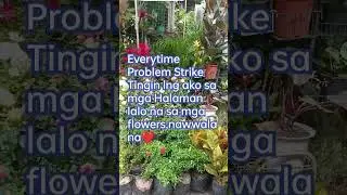 Flowers really makes me forgot Problems💋 #youtubeshorts #plant #hola #flowers
