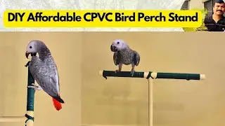 DIY  CPVC Bird Perch Stand | Affordable Play Stand | HMS Aviary