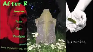 AR177   Part 3