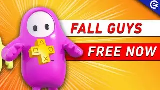 Fall Guys: Release Date, Free PS Plus, Crossplay and Couch Co-op - All You Need to Know