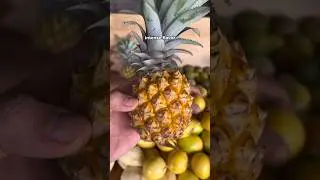 Everything I ate on Easter Island