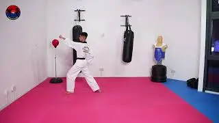Green Tip Belt Pattern [Taekwondo Poomsae] | Taeguek (2) Ee-Jang