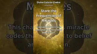 Store the Frequency of Miracles in Your Cells