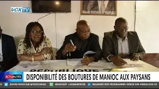 Disponibilité des boutures de manioc au paysans