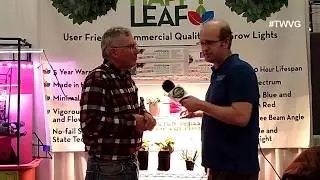 Happy Leaf Led grow lights (plants need red light)