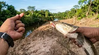 CASTING HARUAN | TEST UMPAN KATAK EXP DI PARIT BARU CUCI | SOFT FROG TUAH