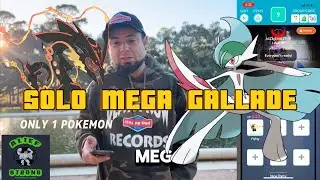 SOLO MEGA GALLADE