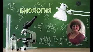 19 В 9 1 АУДИО лекция 26 от 20 04 2020