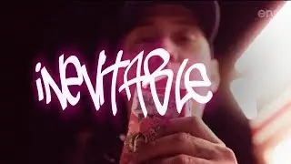 P.FLXWS - 