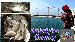 Danggit hunting (rabbit fish) || Gerry's Multi-Sports