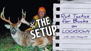 Тактика гонки для заработка на карантине | THE SETUP #211