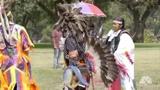 Multicultural Festival
