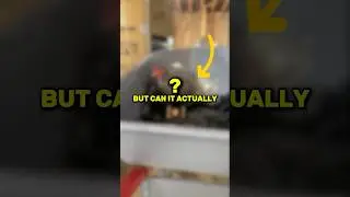 Can this rooster lay eggs on command?
