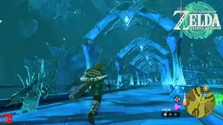 Legend Zelda Tears of the Kingdom - Zora's Domain & Mud Are Everywhere! Lanayru Great Spring