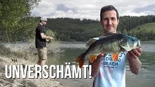 Das geht gar nicht! | Er f&auml;ngt den Monsterbarsch direkt vor meinen F&uuml;&szlig;en