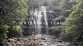 Atherton Tablelands - Waterfall Circuit