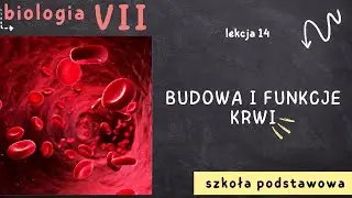 Biologia 7 [Lekcja 14 - Budowa i funkcje krwi]
